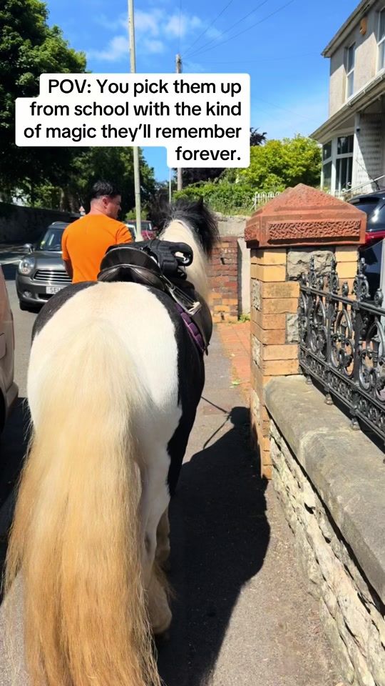 TikTok video thumbnail by homeofthewilsons