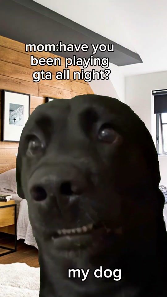 TikTok video thumbnail by bestm3mes1