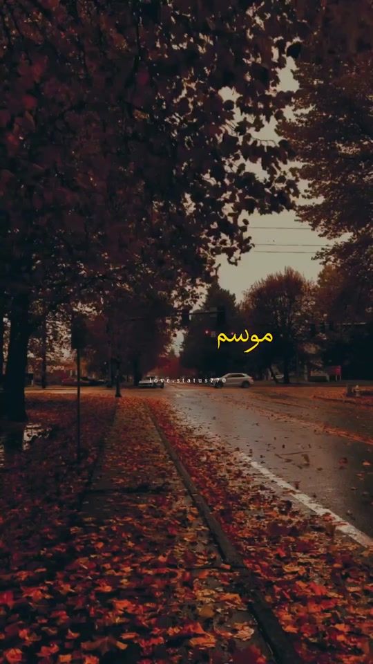 TikTok video thumbnail by love.status770