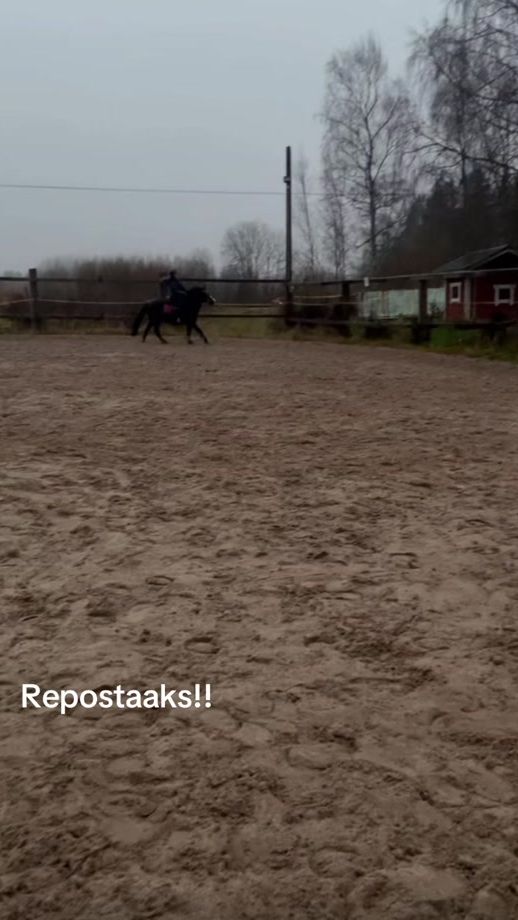 TikTok video thumbnail by team_pujola