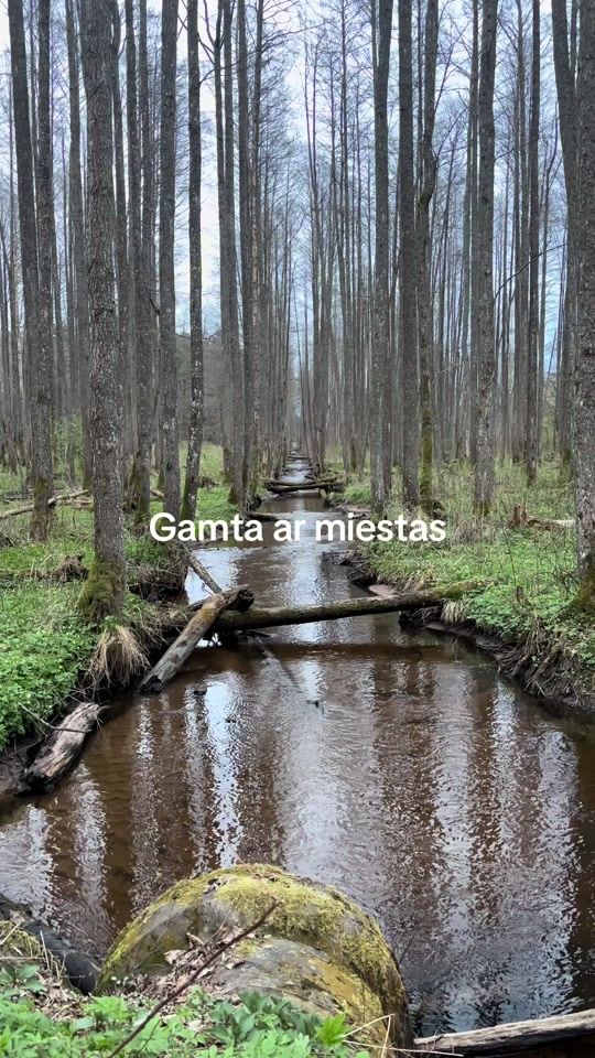 TikTok video thumbnail by romkajas