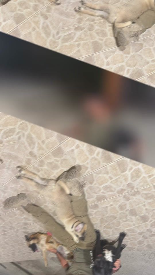 TikTok video thumbnail by iliask5060