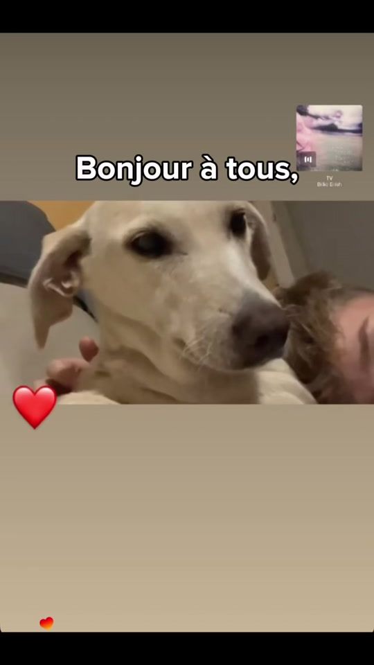 TikTok video thumbnail by tsunade039