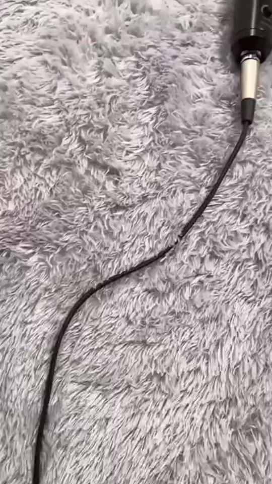 TikTok video thumbnail by animalsinaction4