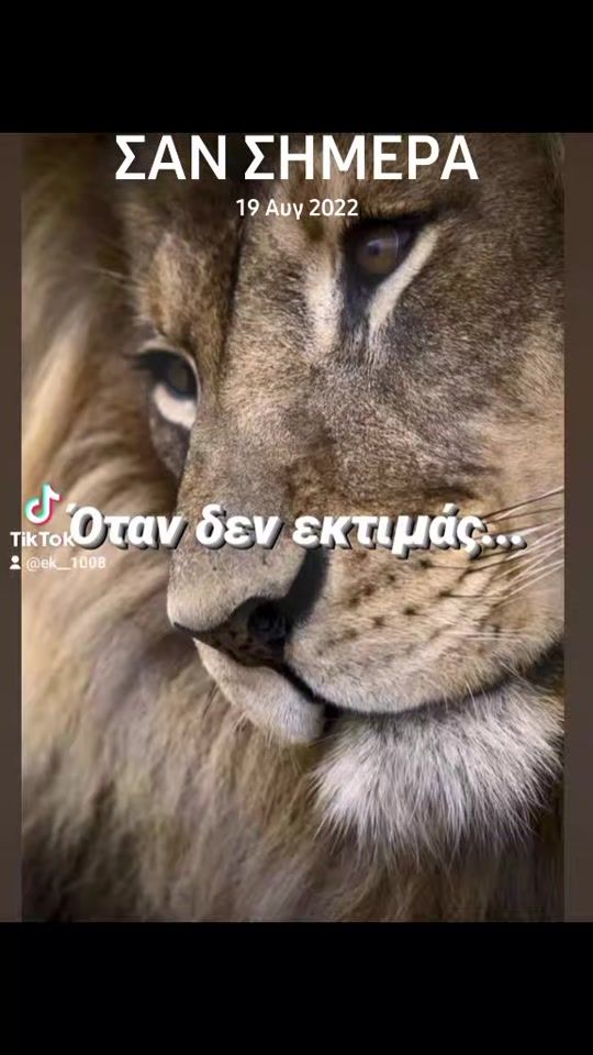 TikTok video thumbnail by itsme_._e