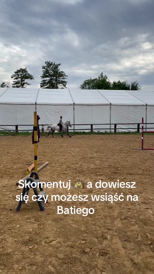 TikTok video thumbnail by horseandi
