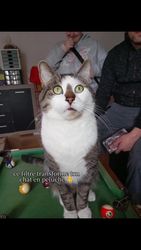 TikTok video thumbnail by stephmarie2687