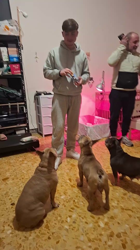 TikTok video thumbnail by francescaloffred3