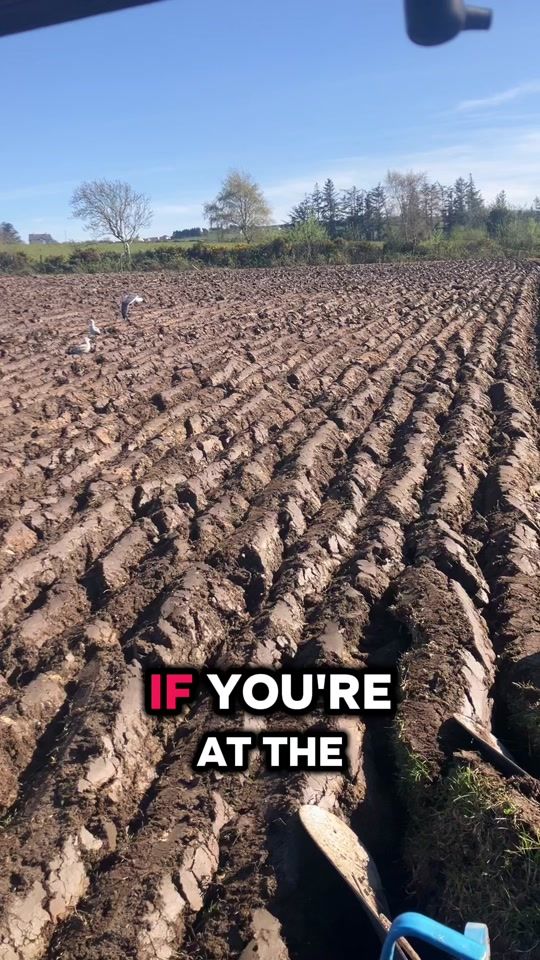TikTok video thumbnail by theclassicfarmer