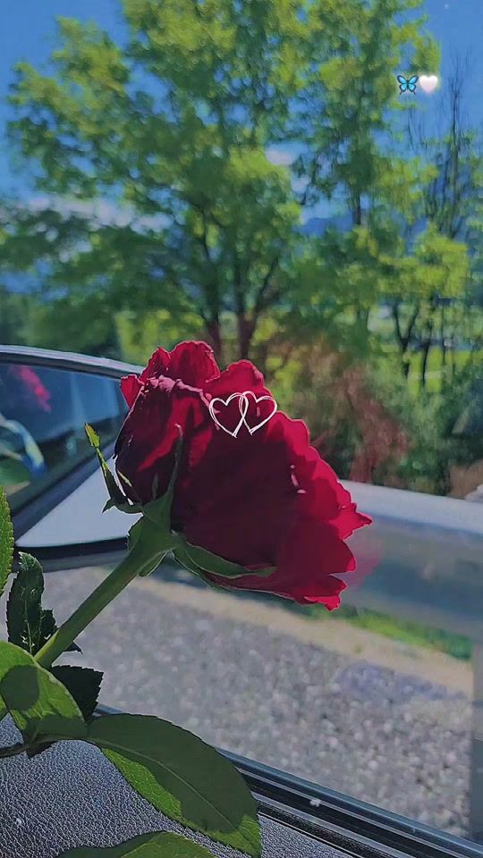 TikTok video thumbnail by serrin.as