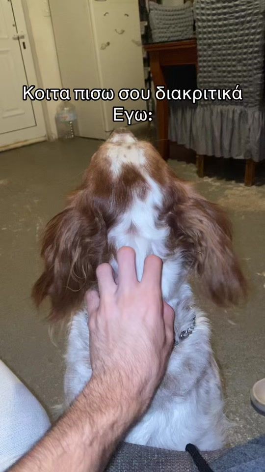 TikTok video thumbnail by kaloxairetas