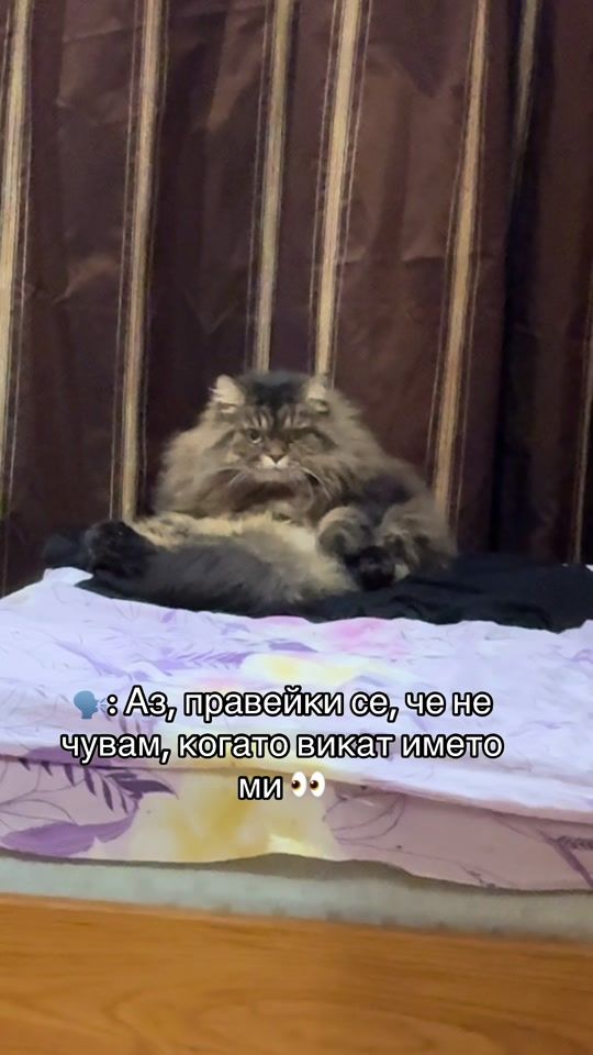 TikTok video thumbnail by iveliinaa