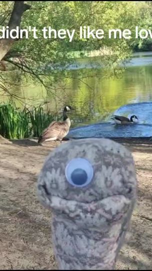 TikTok video thumbnail by figgypuppets