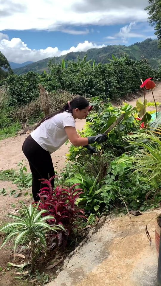 TikTok video thumbnail by maiden_vasquez