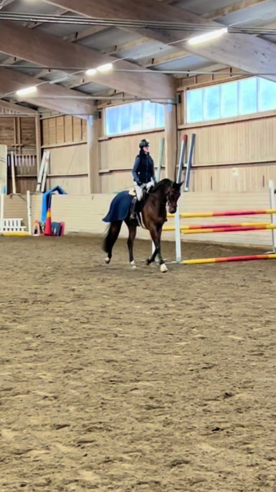 TikTok video thumbnail by equi.linnea