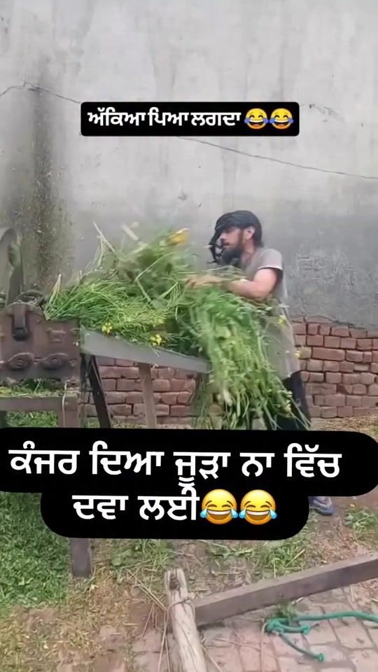 TikTok video thumbnail by punjabtoeurope1