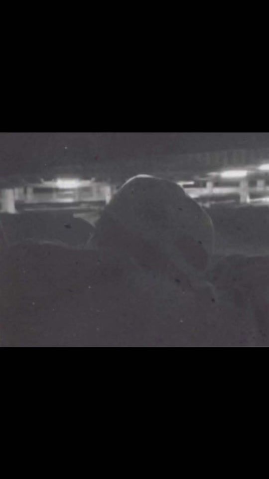 TikTok video thumbnail by gonenicky