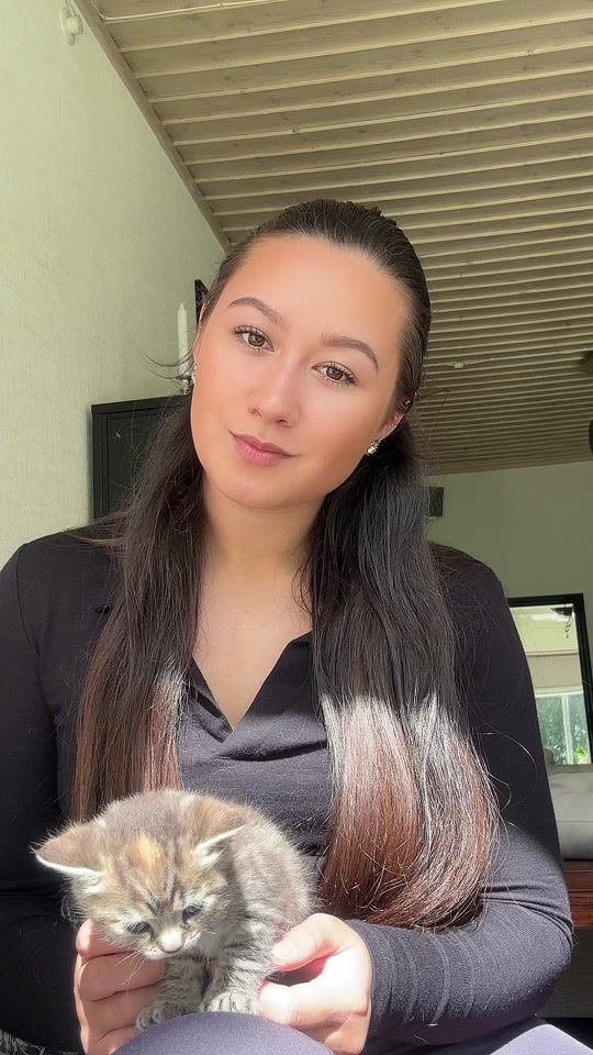 TikTok video thumbnail by linneap01