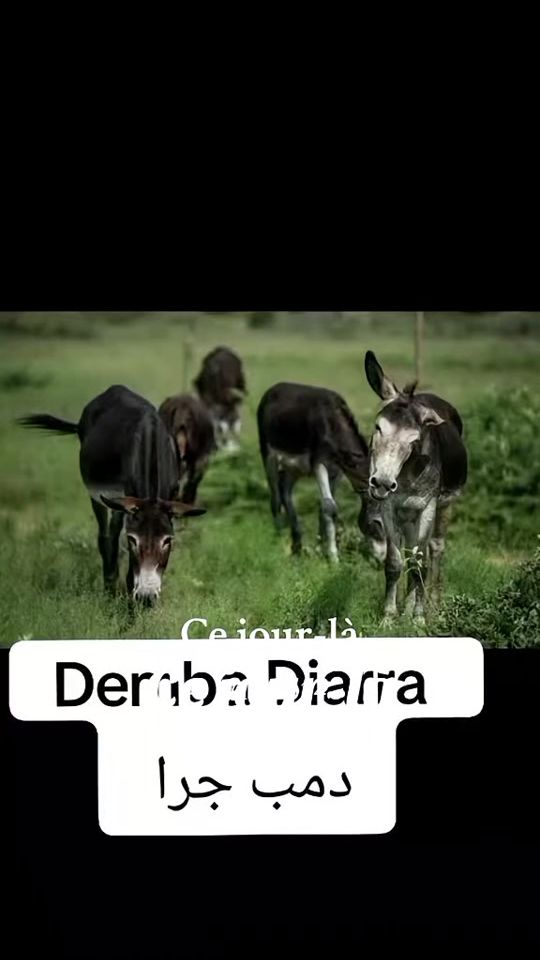 TikTok video thumbnail by madyfofana40