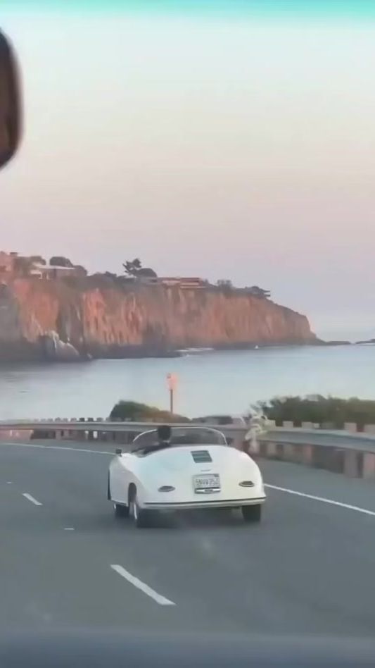 TikTok video thumbnail by quattrosaltinparrelle