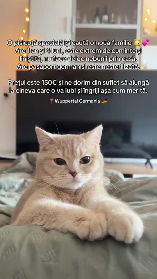 TikTok video thumbnail by adelina.tarus