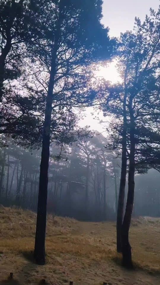 TikTok video thumbnail by alinka93_