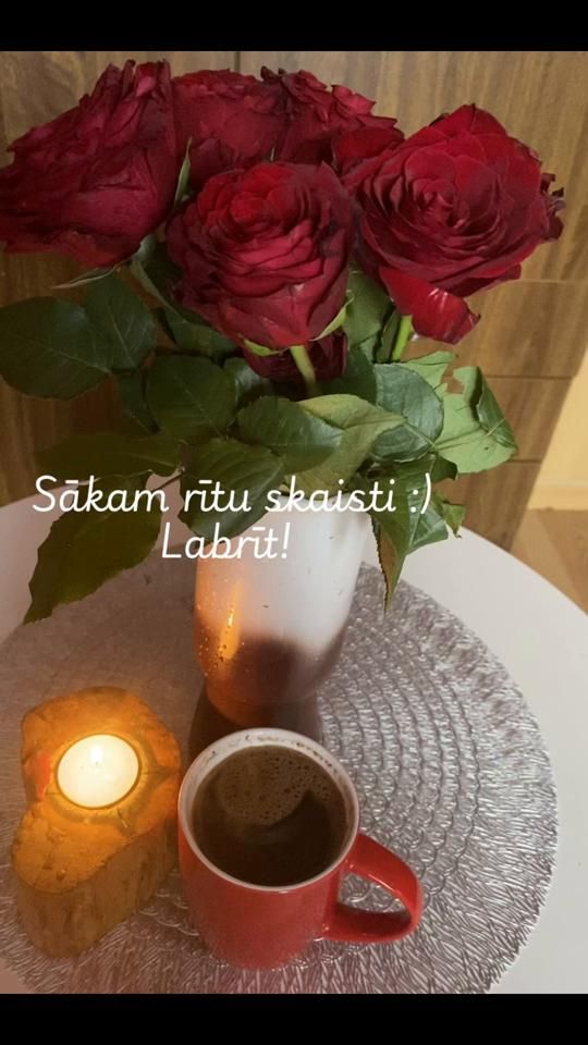 TikTok video thumbnail by sancis2004