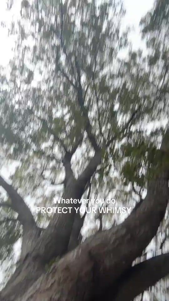 TikTok video thumbnail by blairrichardsoffical