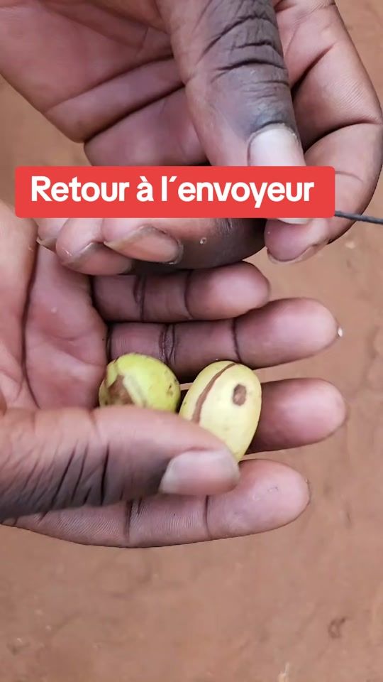 TikTok video thumbnail by voyanthounwanou2