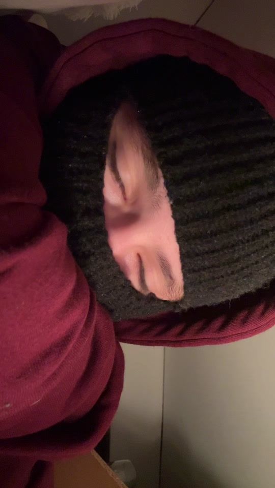 TikTok video thumbnail by taaaaaaaooooooooo
