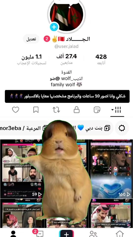 TikTok video thumbnail by user.jalad