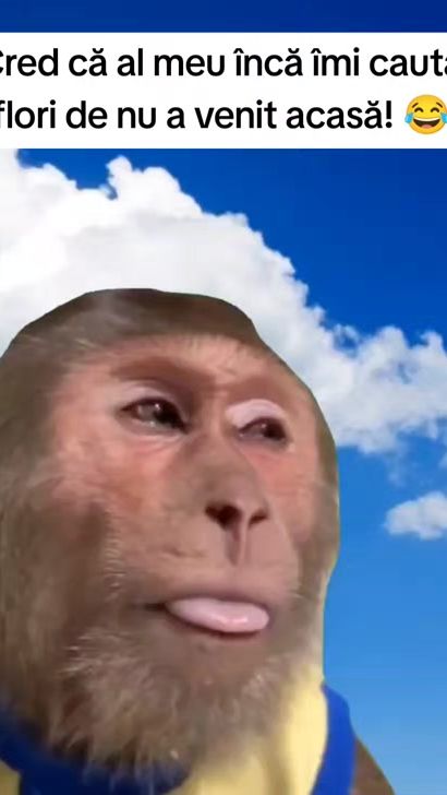 TikTok video thumbnail by andreeaelenac93