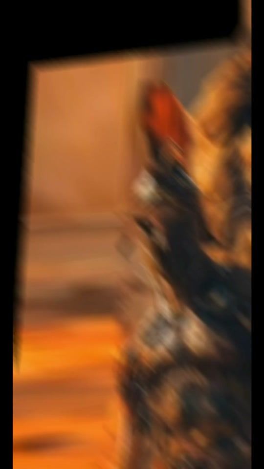 TikTok video thumbnail by espartaviral