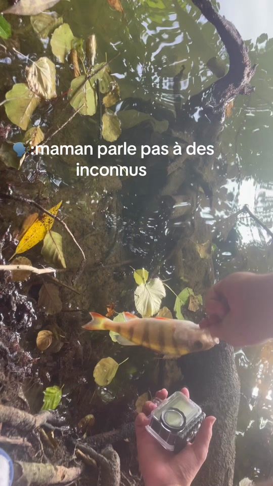 TikTok video thumbnail by bobfishing5