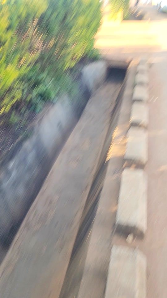TikTok video thumbnail by dj_elly__