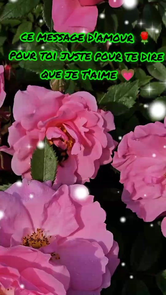 TikTok video thumbnail by .love1968