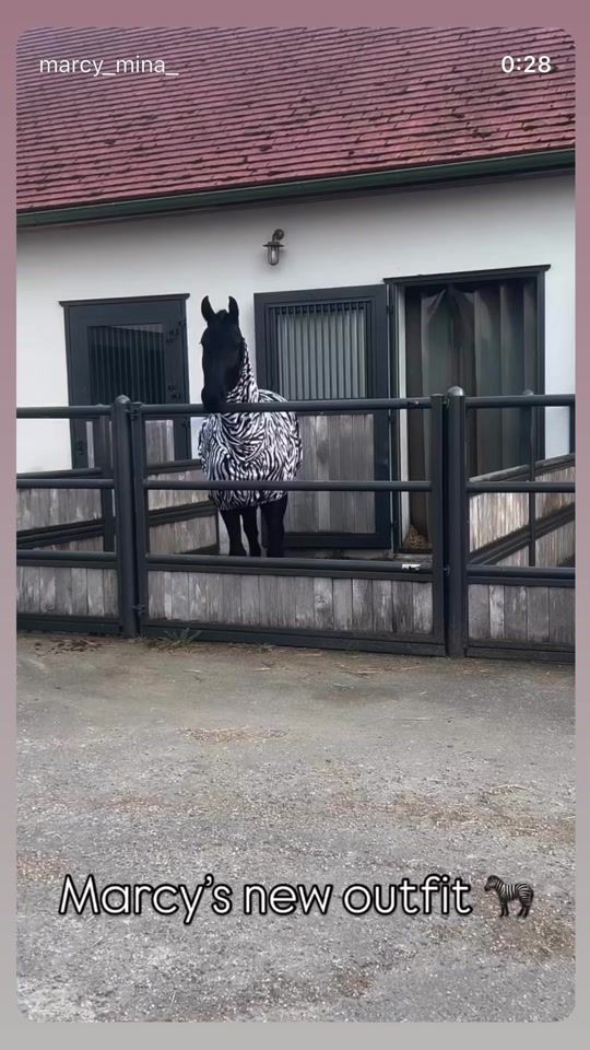 TikTok video thumbnail by ermi_bolan