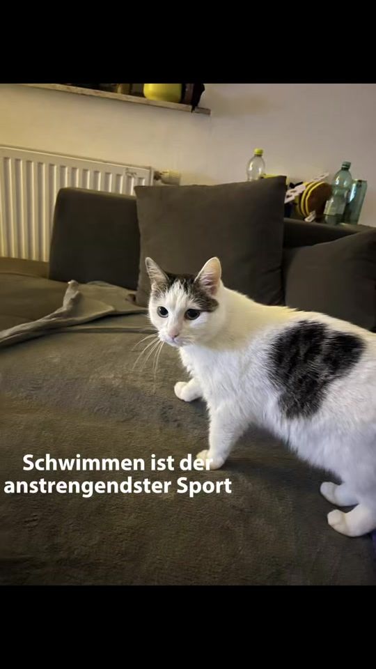 TikTok video thumbnail by hellokitty_und_freunde