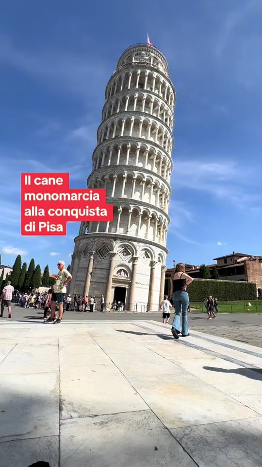 TikTok video thumbnail by ilcanemonomarcia
