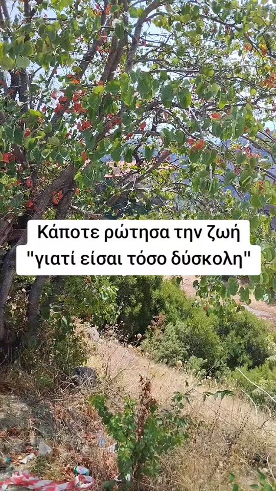 TikTok video thumbnail by billy11gunn