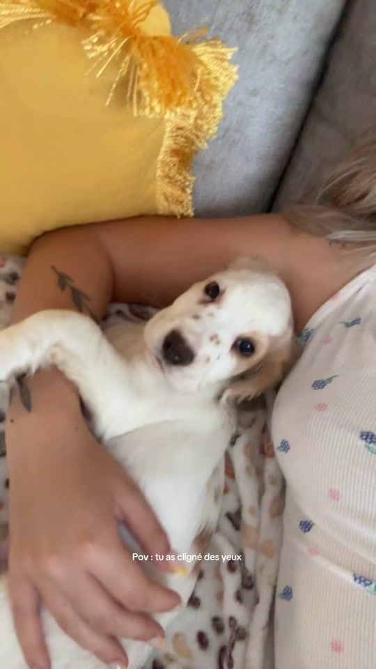 TikTok video thumbnail by lou.dlz