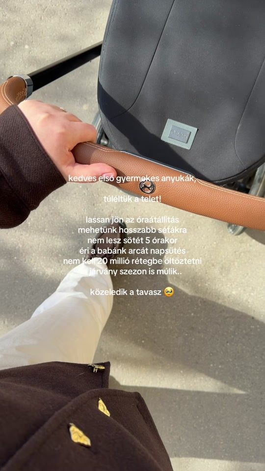 TikTok video thumbnail by pannizachar