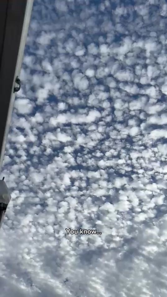 TikTok video thumbnail by path_in_quiet