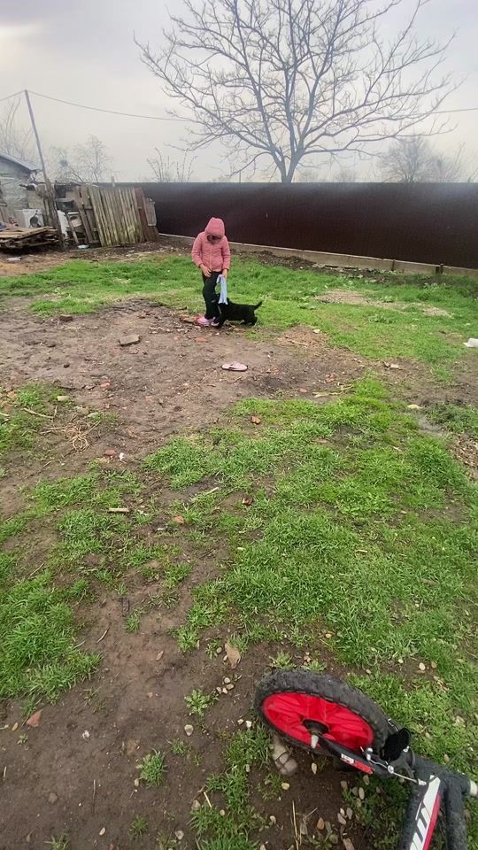 TikTok video thumbnail by iulycabalan5