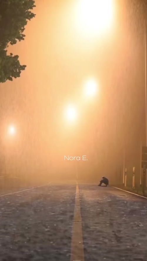 TikTok video thumbnail by noraa__e