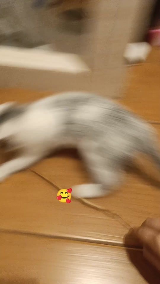 TikTok video thumbnail by nikasik00