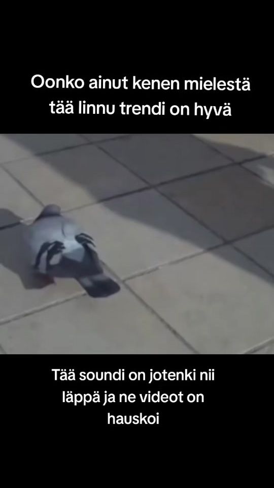 TikTok video thumbnail by finnishteetee