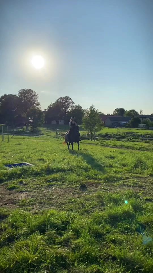 TikTok video thumbnail by nika__equestriann