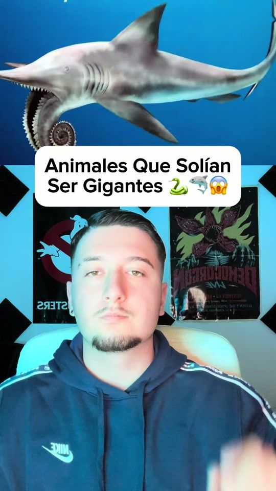 TikTok video thumbnail by fsalgueero_