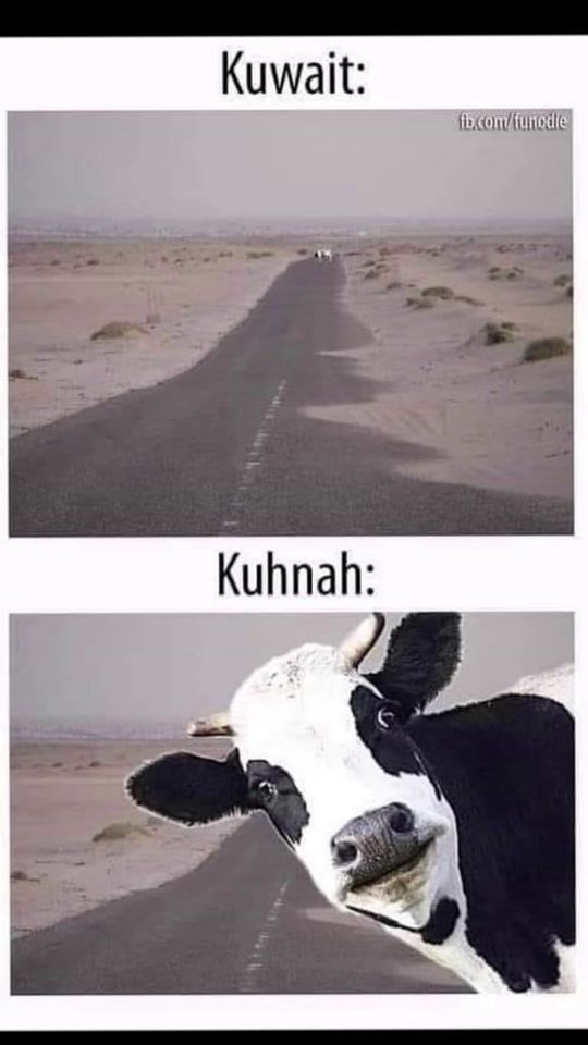 TikTok video thumbnail by ilkaheart